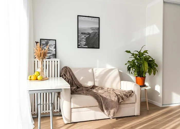 Appartement Avec Climatisation, A 900 M De La Plage